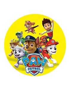 the cartoon paw patrol has many different characters