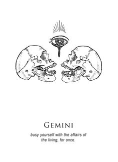 two skulls are facing each other with the words gemini written in black and white