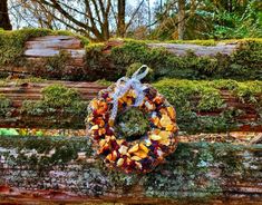 a wreath is hanging on a log in the woods