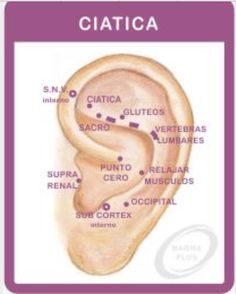 Ear Reflexology, Brain Boosting Foods, Acupuncture Benefits, Reflexology Chart, Foot Reflexology, Shiatsu Massage, Acupuncture Points, Acupressure Points, Alternative Health