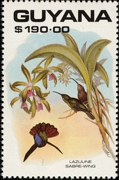 Bee Hummingbird, Ruby Throated Hummingbird, Purple Collar, Wild Creatures, Bird Theme, Flower Stamp, Postal Stamps