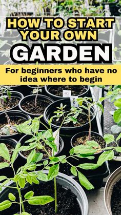 several potted plants with the words how to start your own garden for beginners who have no idea where to begin