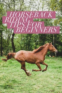 a horse running in the grass with trees behind it and text that reads, horsesback riding tips for beginners