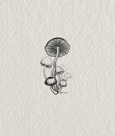 a drawing of mushrooms on paper with the words, i'm not sure what they are