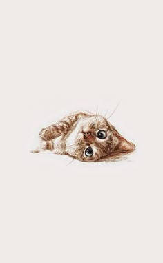 a drawing of a cat laying down on the ground with its eyes wide open and looking at the camera