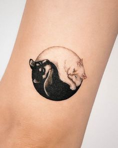 two cats sitting on top of each other in the shape of a circle tattoo design