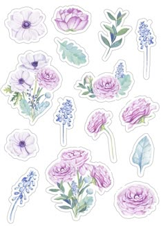 watercolor flowers stickers on a white background