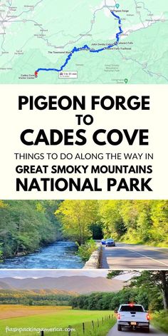 the cover of pigeon gorge to capes cove, things to do along the way in great smoky mountains national park