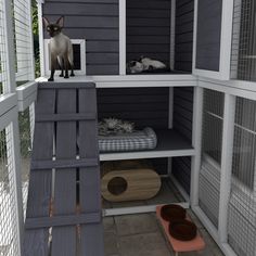 two cats are sitting on top of a cat house