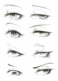 an image of different types of eyes in the style of pencils on white paper