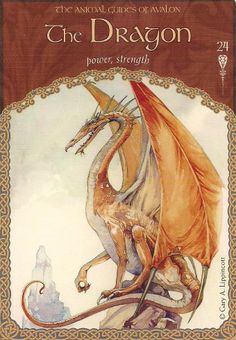 the dragon power strength book cover with an orange dragon on it's back side