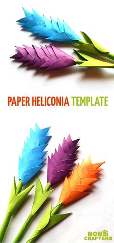 three different colored paper flowers with the words paper helicnia template written below them