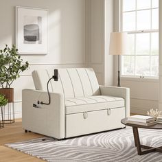 a living room with a couch, coffee table and potted plant in the corner