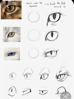 how to draw an anime cat's eyes step by step instructions for beginners