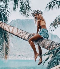 a woman sitting on top of a palm tree