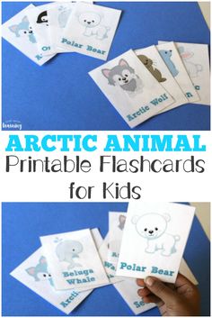 the arctic animal printable flashcards for kids are great for learning about animals and their habitats