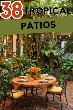 an outdoor patio with oranges and potted plants in the background that says tropical patios