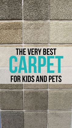 the very best carpet for kids and pets is on display in front of a tiled wall