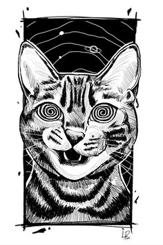 a black and white drawing of a cat's face