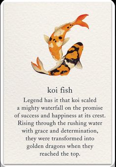 a poem from koi fish