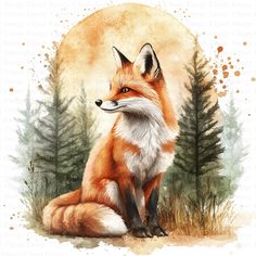 Fox Art Drawing, Fox Art Illustration, Fox In Forest, Forest Clipart, Fox Forest, Wildlife Illustration, Woodland Animal Art, Art Scrapbook, Scrapbook Images