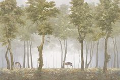 a painting of deer in the woods on a foggy day