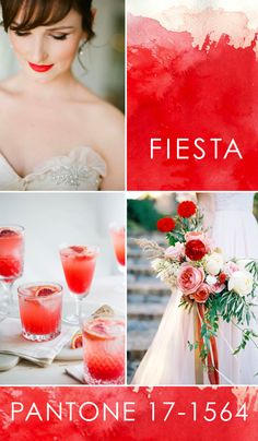 red and white wedding color palettes with text overlaying the top right side