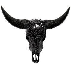 a bull's skull with long horns is shown in black and white photo on a white background