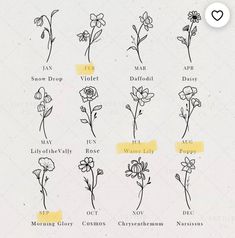 the different types of flowers are shown in black and white