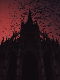 many birds are flying in the sky above a gothic cathedral at sunset or dawn with red and black colors