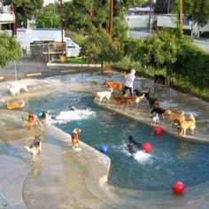 people and dogs are playing in an artificial swimming pool