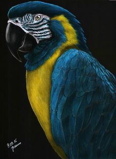 a painting of a blue and yellow parrot