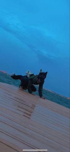 a cat that is standing in the sand