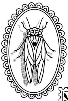 a black and white drawing of a bug in an oval frame with lace border around it