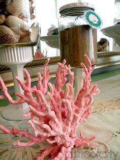 there is a pink coral on the table in front of some jars with sea shells