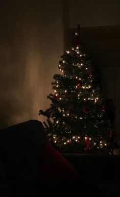 a lit up christmas tree in the dark