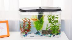 an aquarium filled with plants and rocks on top of a white table next to a window