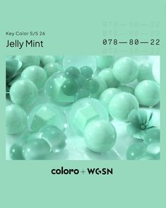 Season Colors, Shine Bright, Jelly, Mint, Coding, Key, Color