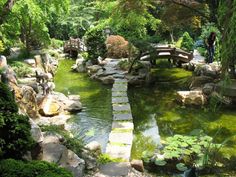 there is a small pond in the middle of this garden with rocks and water lilies