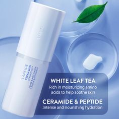 Laneige Cream Skin, Milky Toner, Face Beat Makeup, Skin Lightening Cream, Moisturizing Toner, Oily Skin Care, Skin Toner, Amino Acid, Facial Toner