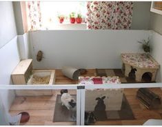 a dog house with two dogs inside and one on the floor in front of it