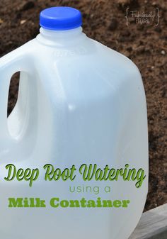 a gallon of deep root water sitting on top of a wooden bench in the dirt