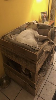 a dog laying on top of a wooden crate