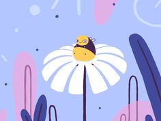 a yellow and black bird sitting on top of a white flower