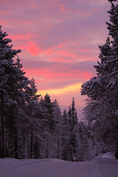 the sky is pink and purple as the sun sets in the distance behind some snow covered trees