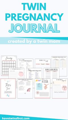 the twin pregancy journal is shown in blue and pink