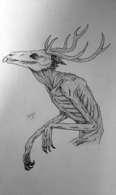 a drawing of a deer skeleton with antlers on it's head