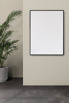 there is a plant next to a white wall with a square frame on the wall