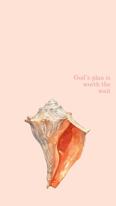 an orange shell with the words god's plan is worth the wait