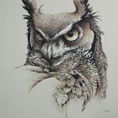 a drawing of an owl with big eyes